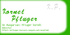 kornel pfluger business card